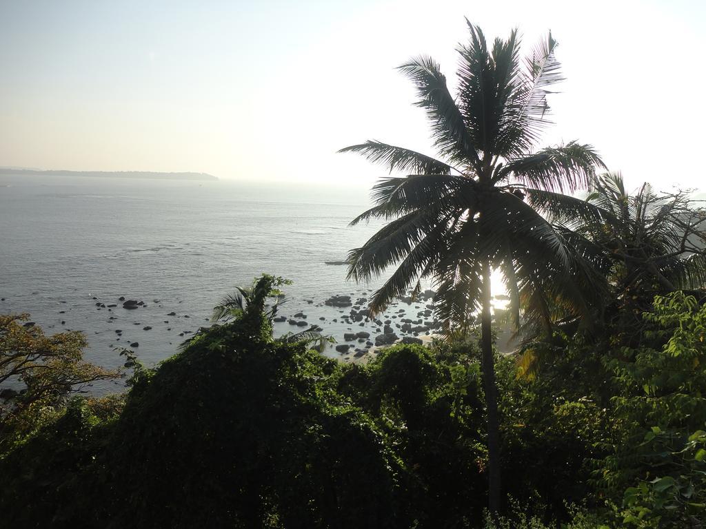 The Yuppi Hippi Hideout Hotel Anjuna Ruang foto