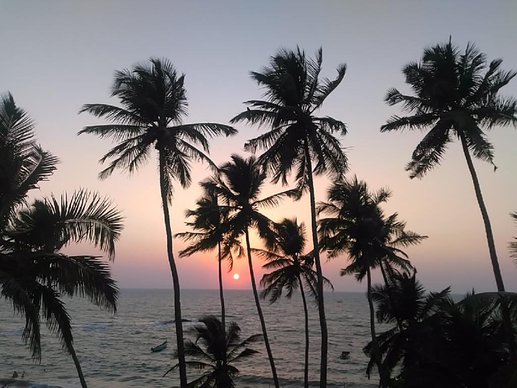 The Yuppi Hippi Hideout Hotel Anjuna Bagian luar foto