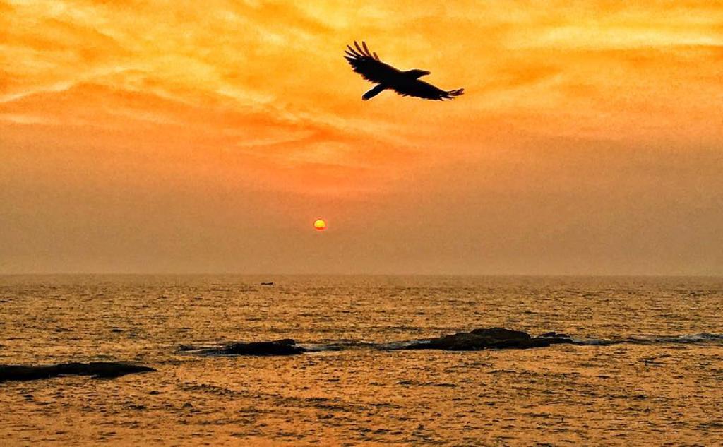The Yuppi Hippi Hideout Hotel Anjuna Bagian luar foto
