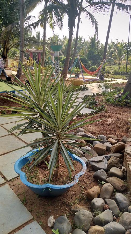 The Yuppi Hippi Hideout Hotel Anjuna Bagian luar foto